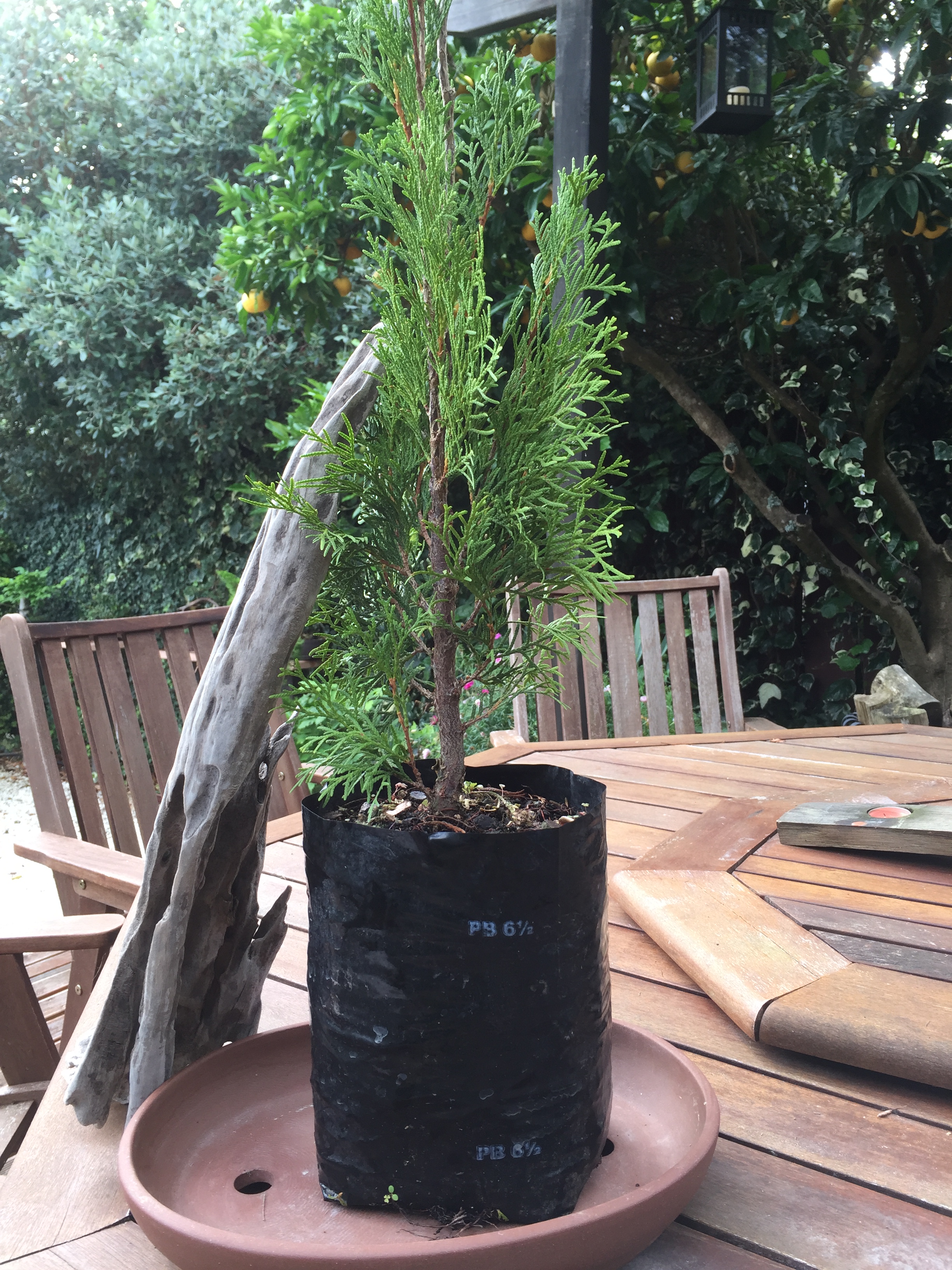 A0B7514F-C852-4AA4-9296-EDDF2C729AC2